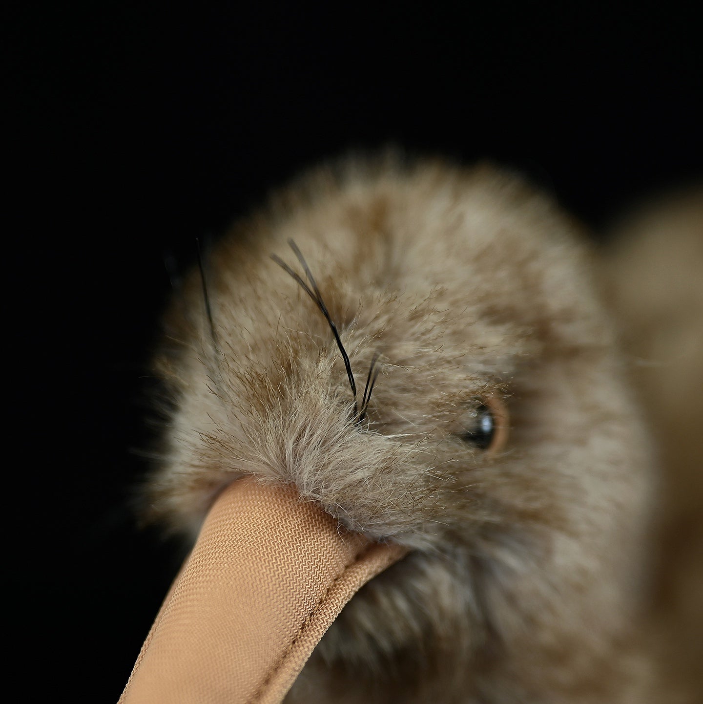 Kiwi Bird Soft Stuffed Plush Toy