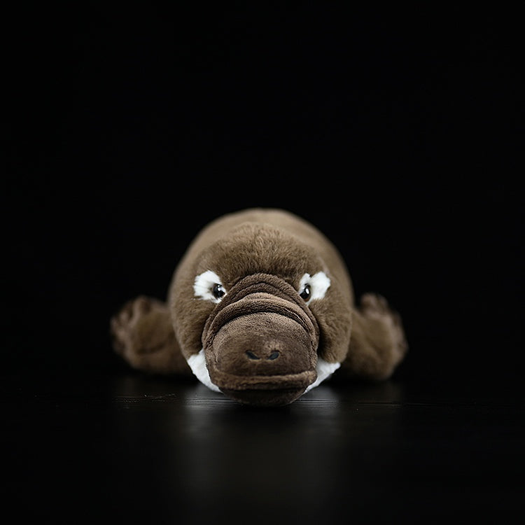 Brinquedo de pelúcia macio de pelúcia axolotl rosa