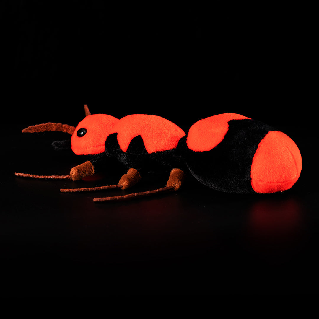 Red Velvet Ant Stuffed Plush Toy