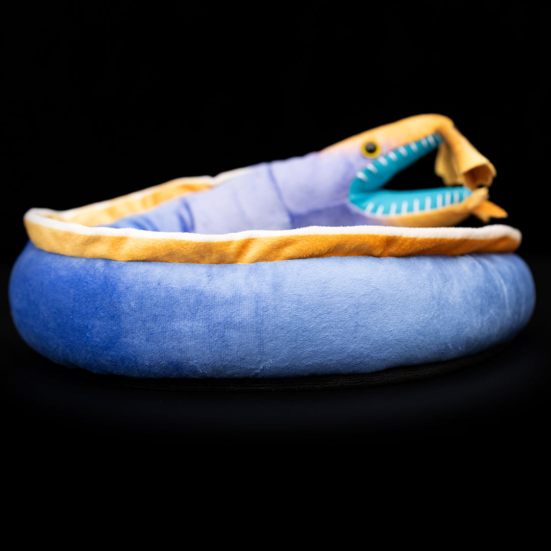 Ribbon Eel Soft Stuffed Plush Toy