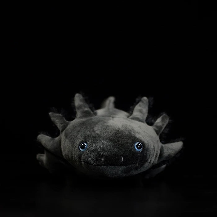 Černá měkká plyšová hračka Axolotl
