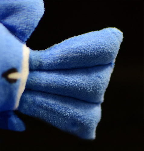 Peluche morbido di pesce chirurgo blu atlantico