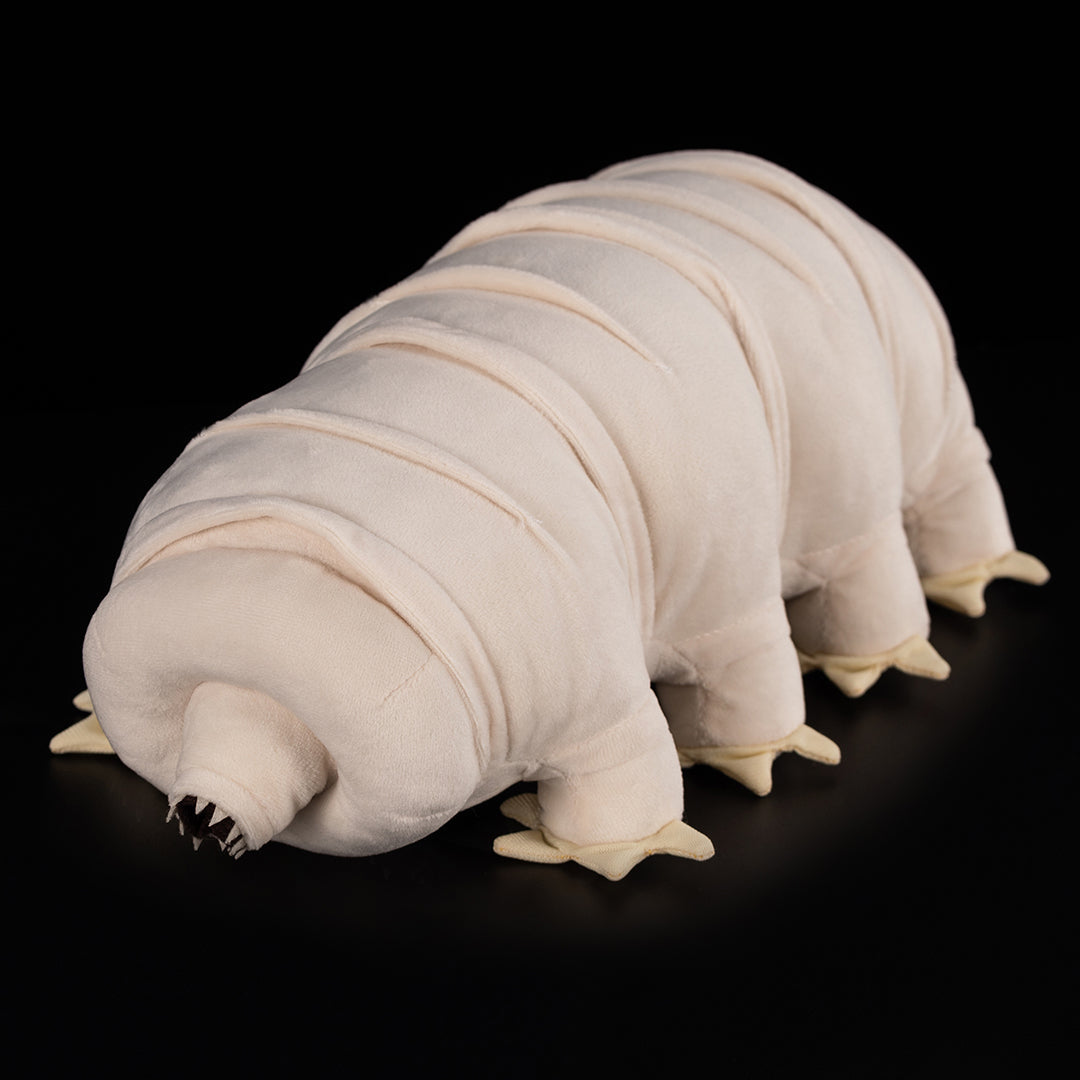 Tardigrade Water Bear Soft Stuffed Plush Toy