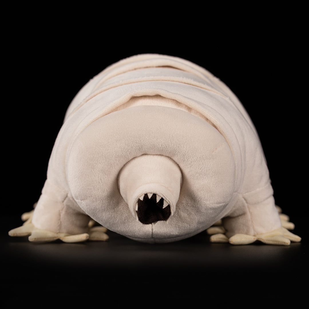 Tardigrade Water Bear Soft Stuffed Plush Toy