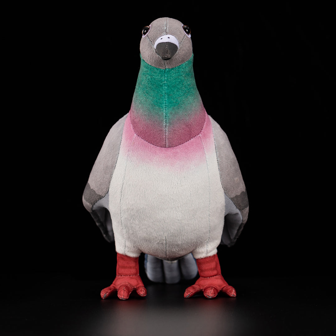 Common Pigeon Bird Soft Stuffed Plush Toy