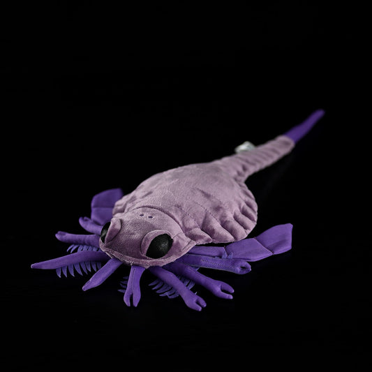 Carcinosoma Soft Stuffed Plush Toy