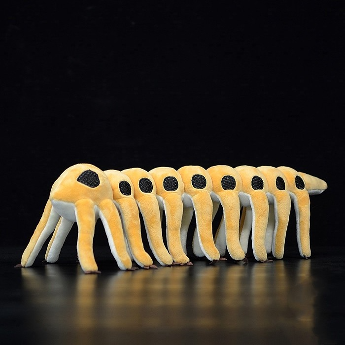 Microdictyon Onychophora Peluche morbido