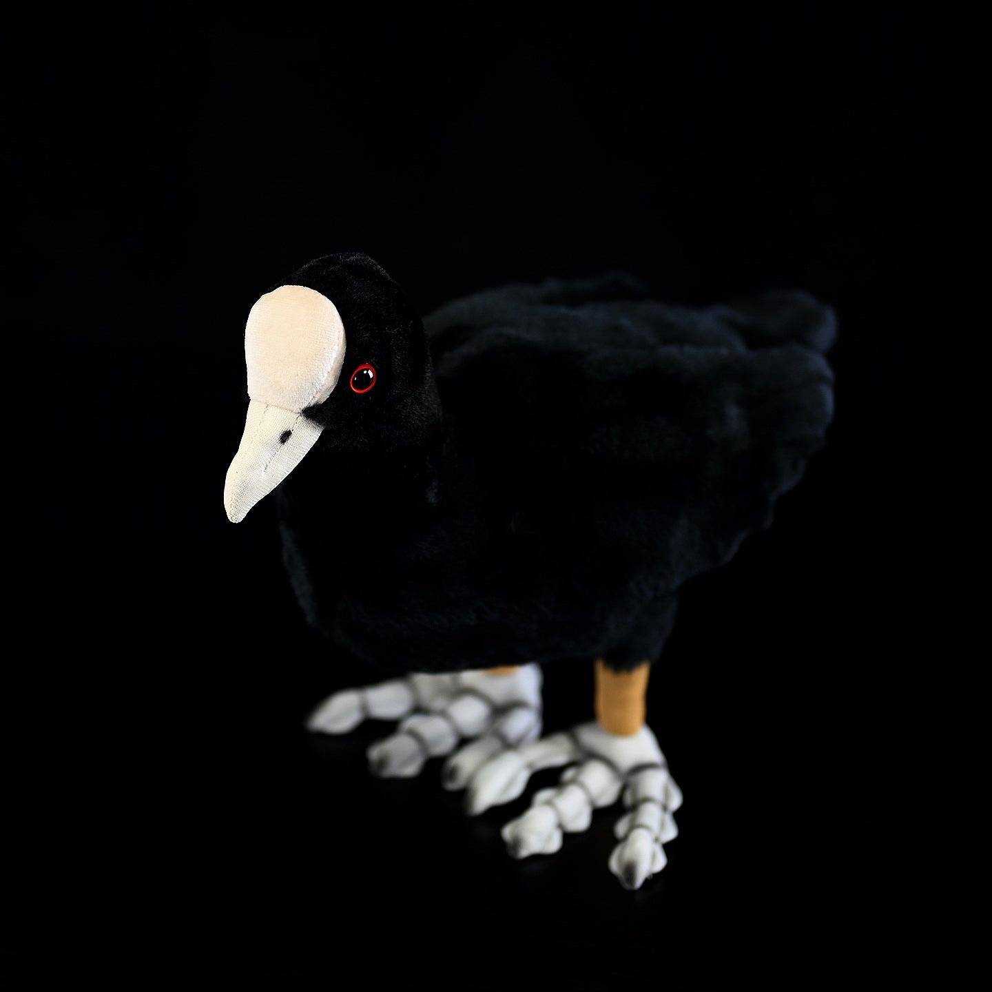 Eurasian Coot Bird Stuffed Plush Toy