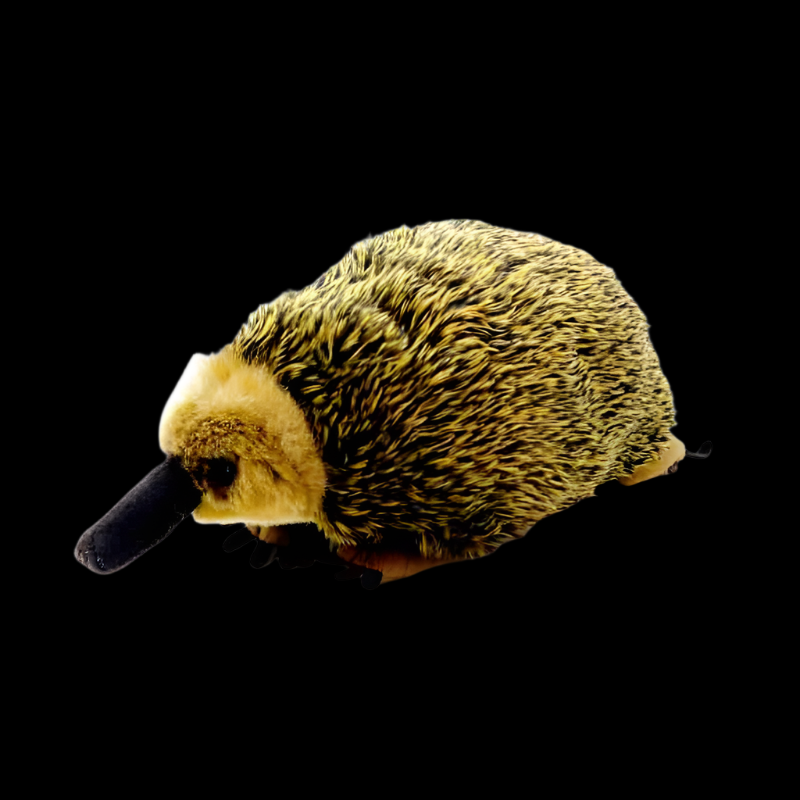 Echidna, peluche morbido