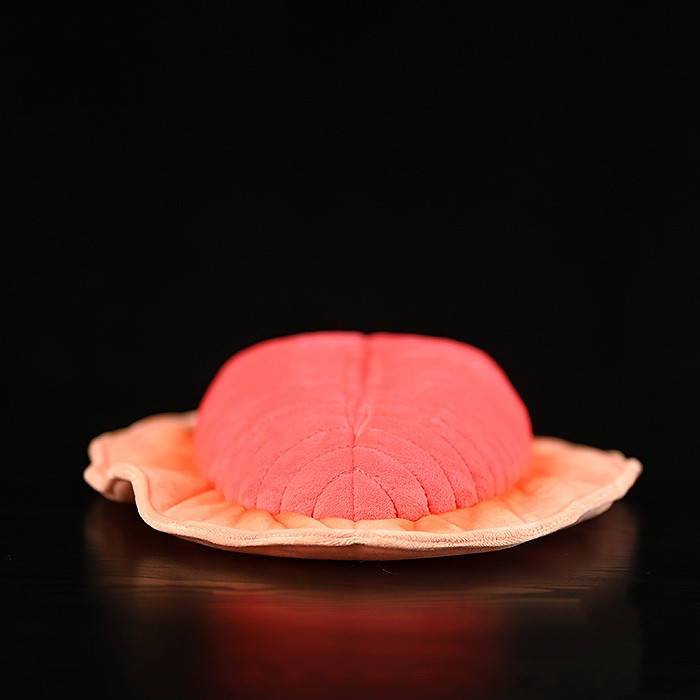 Peluche morbido di Dickinsonia Fossil