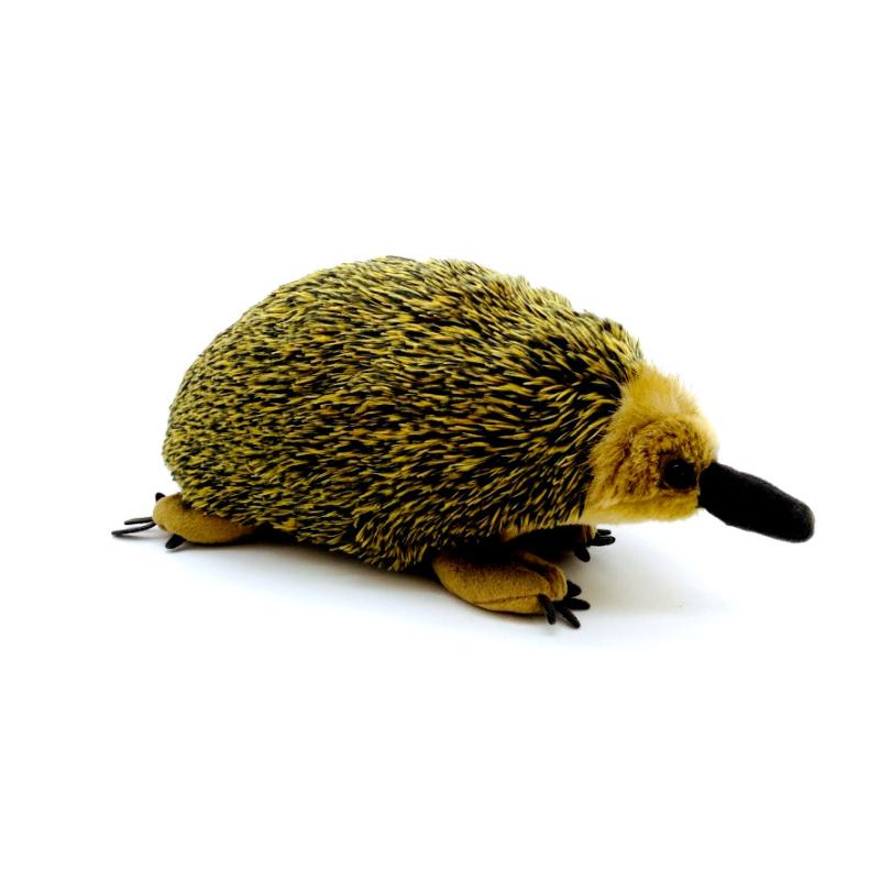 Echidna, peluche morbido