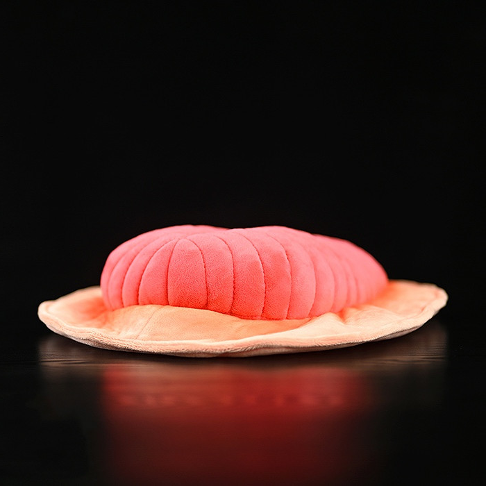 Peluche morbido di Dickinsonia Fossil