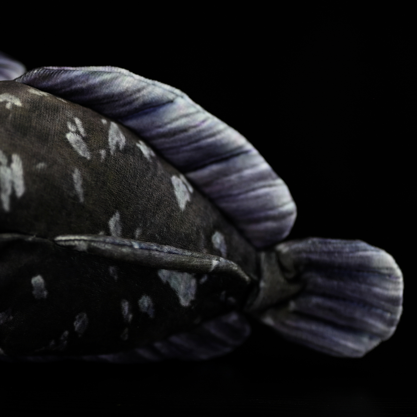 Coelacanth Fish Soft Stuffed Plush Toy