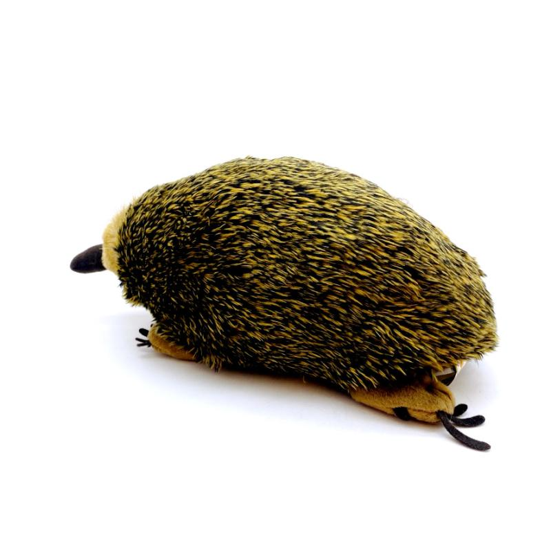 Echidna, peluche morbido
