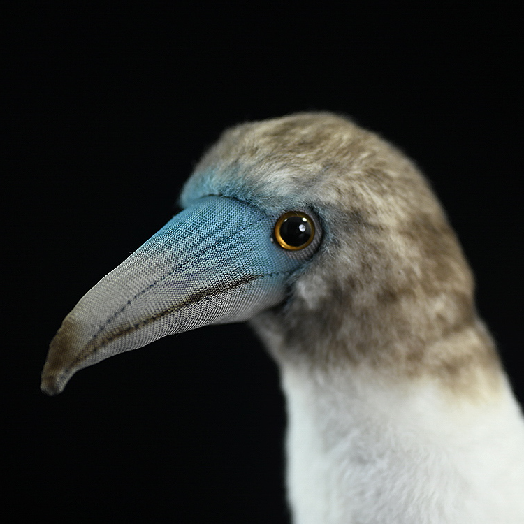 Peluche morbido di Sula piediazzurri