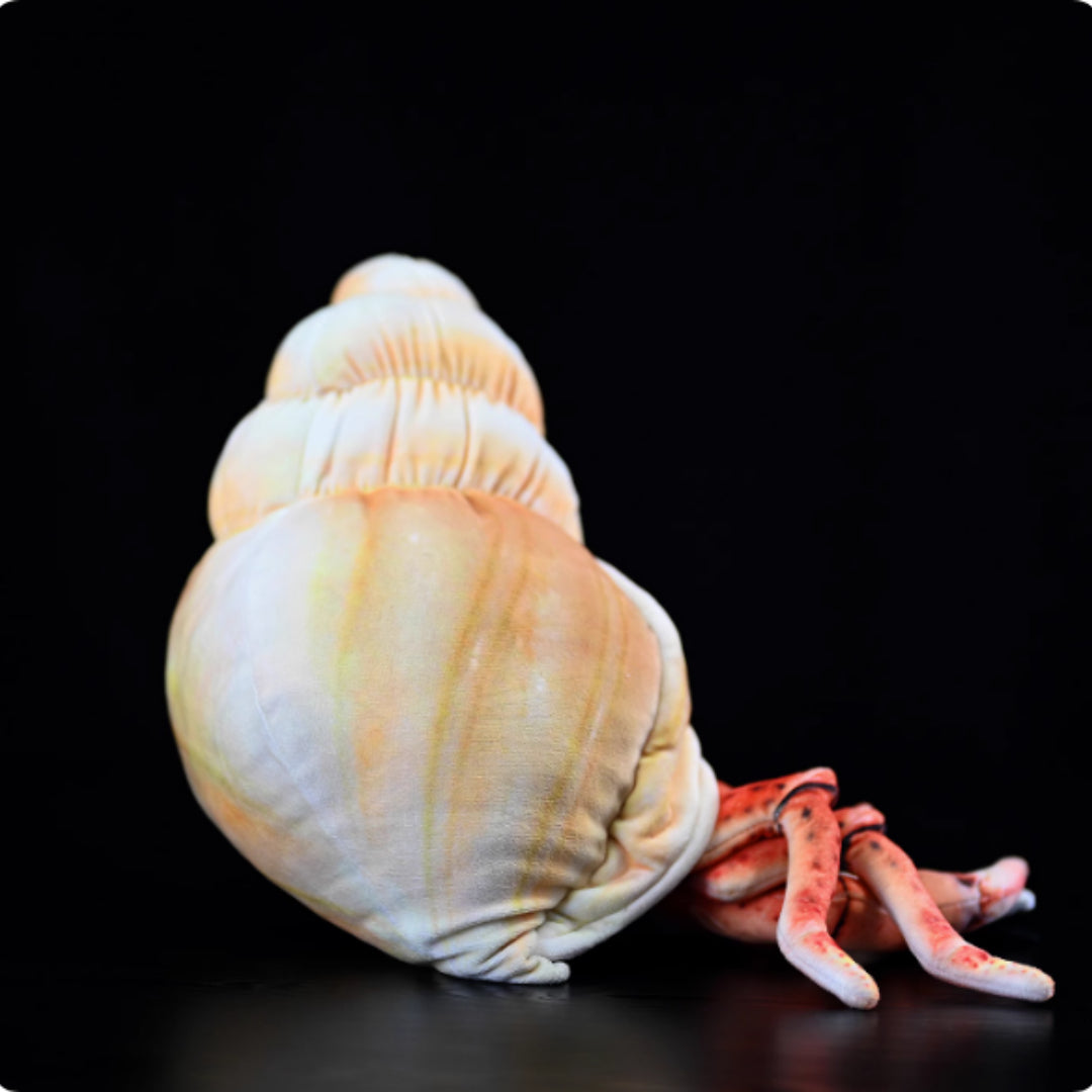 Peluche morbido a forma di paguro 