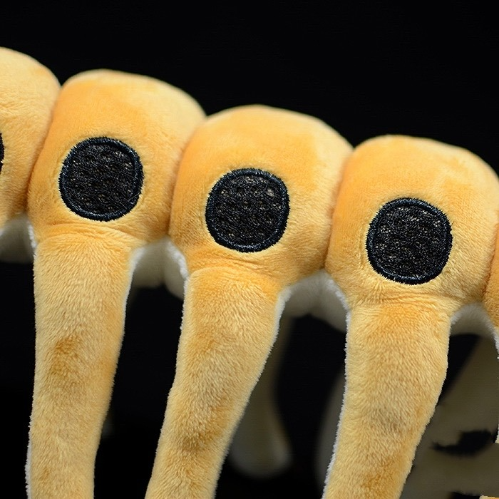 Microdictyon Onychophora Peluche morbido