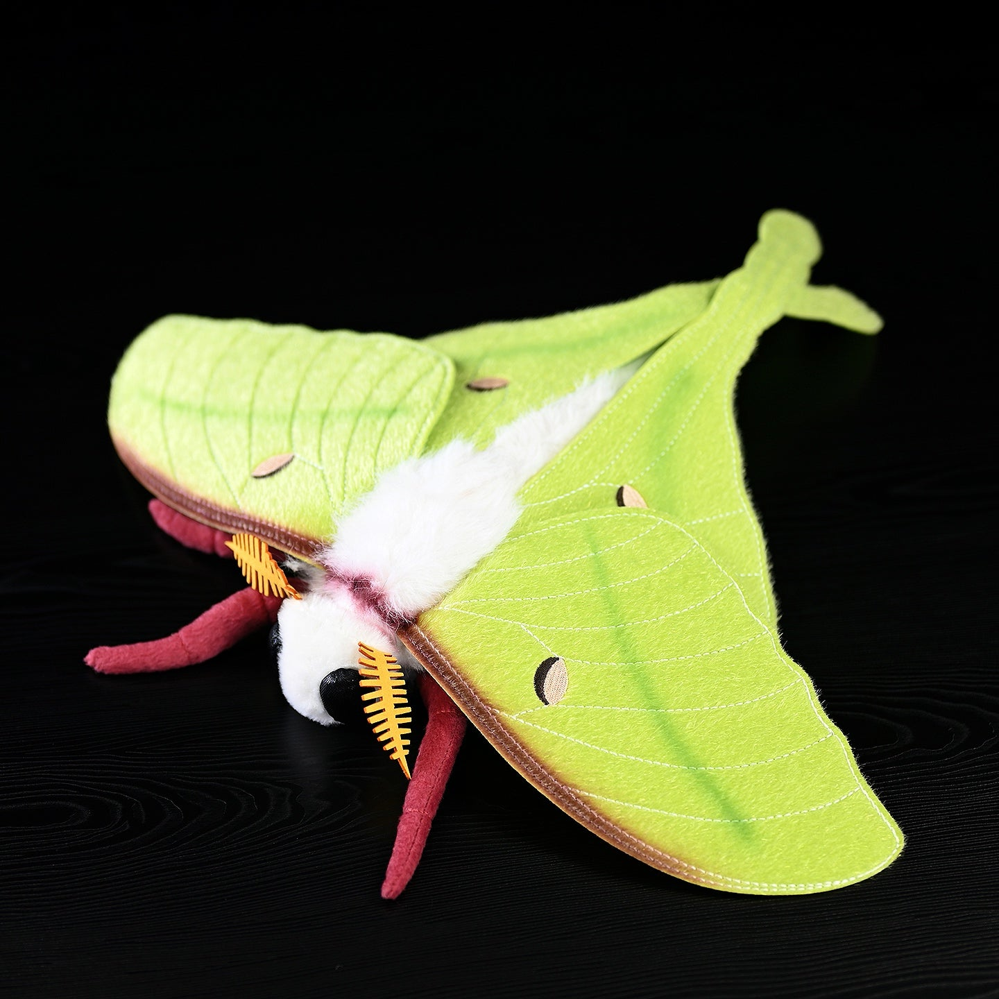 Indian Moon Moth Soft Stuffed Plush Toy