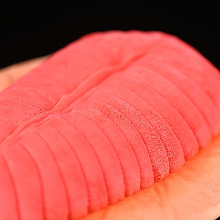 Peluche morbido di Dickinsonia Fossil