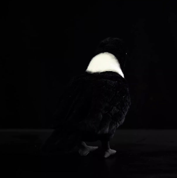 Collared Crow Soft Stuffed Plush Toy