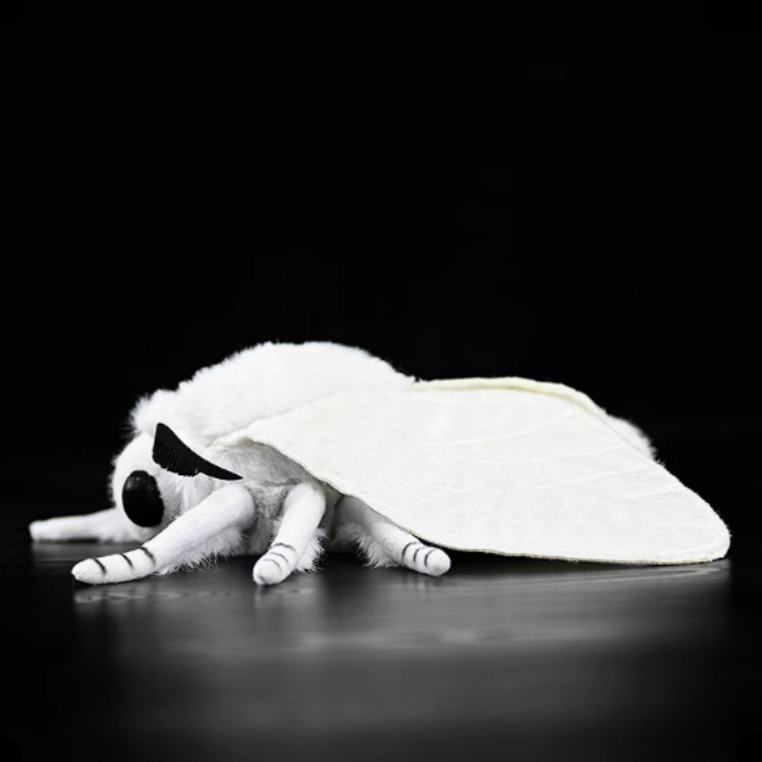 Peluche morbido a forma di falena autunnale 