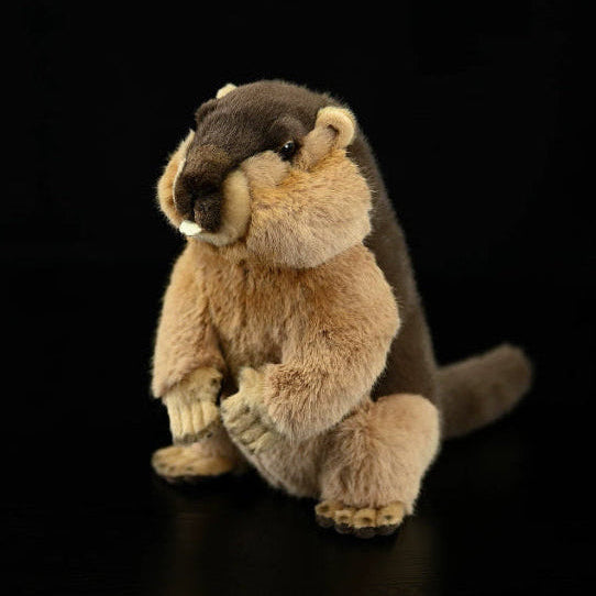 Marmot Soft Stuffed Plush Toy