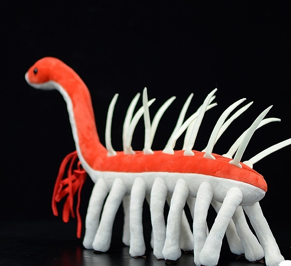 Peluche morbido di Hallucigenia Cambrian Animal 