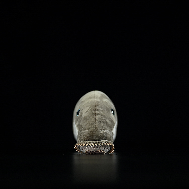 Lampreda di mare, peluche morbido