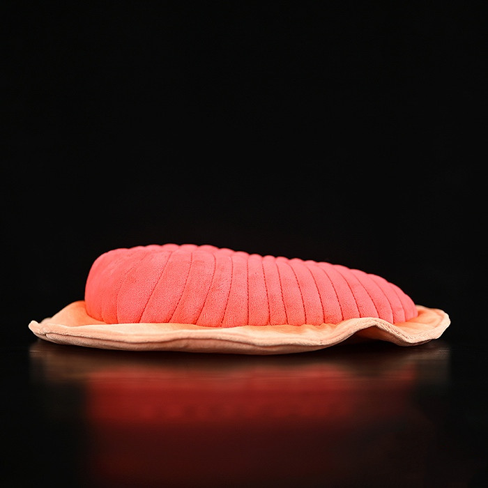 Peluche morbido di Dickinsonia Fossil