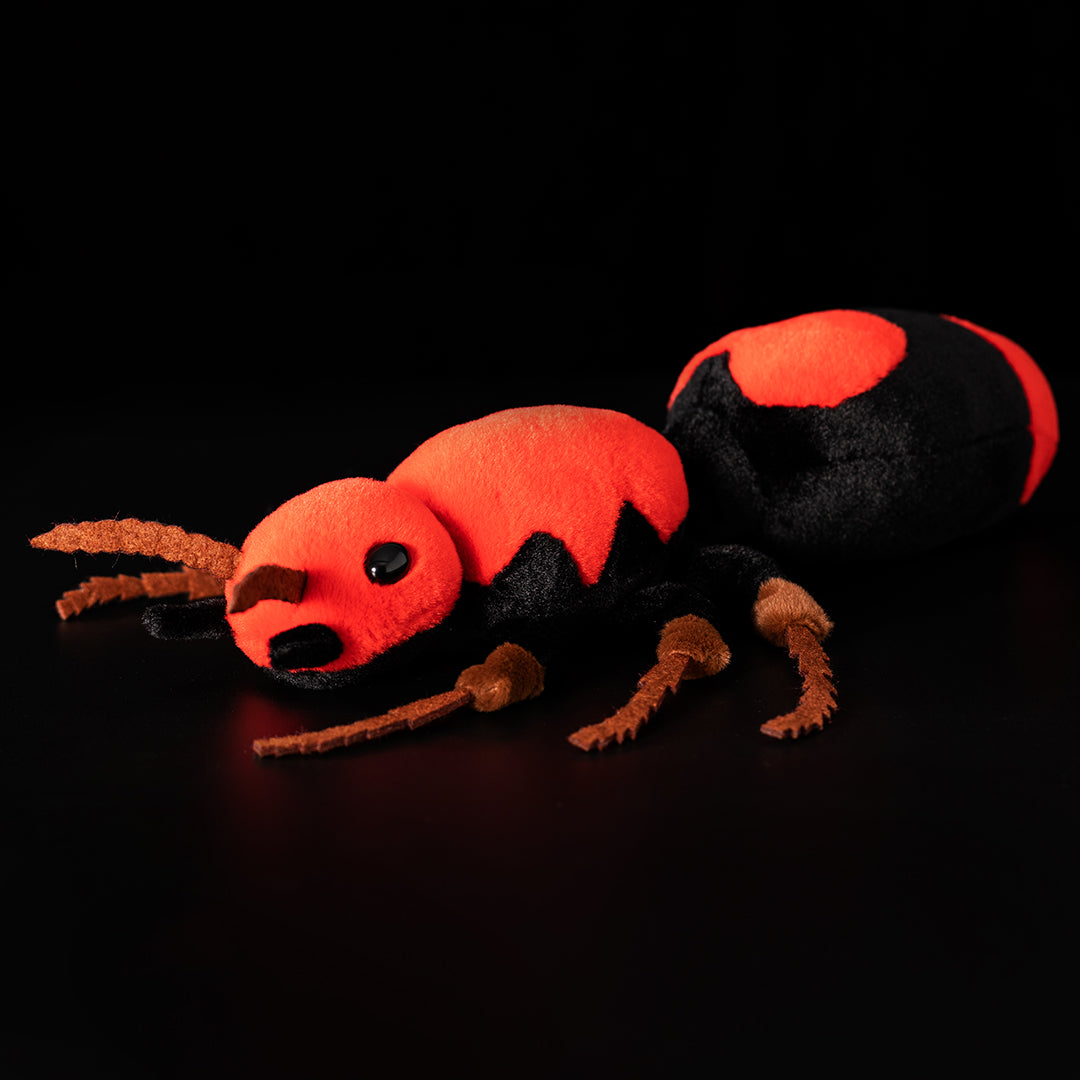 Red Velvet Ant Stuffed Plush Toy