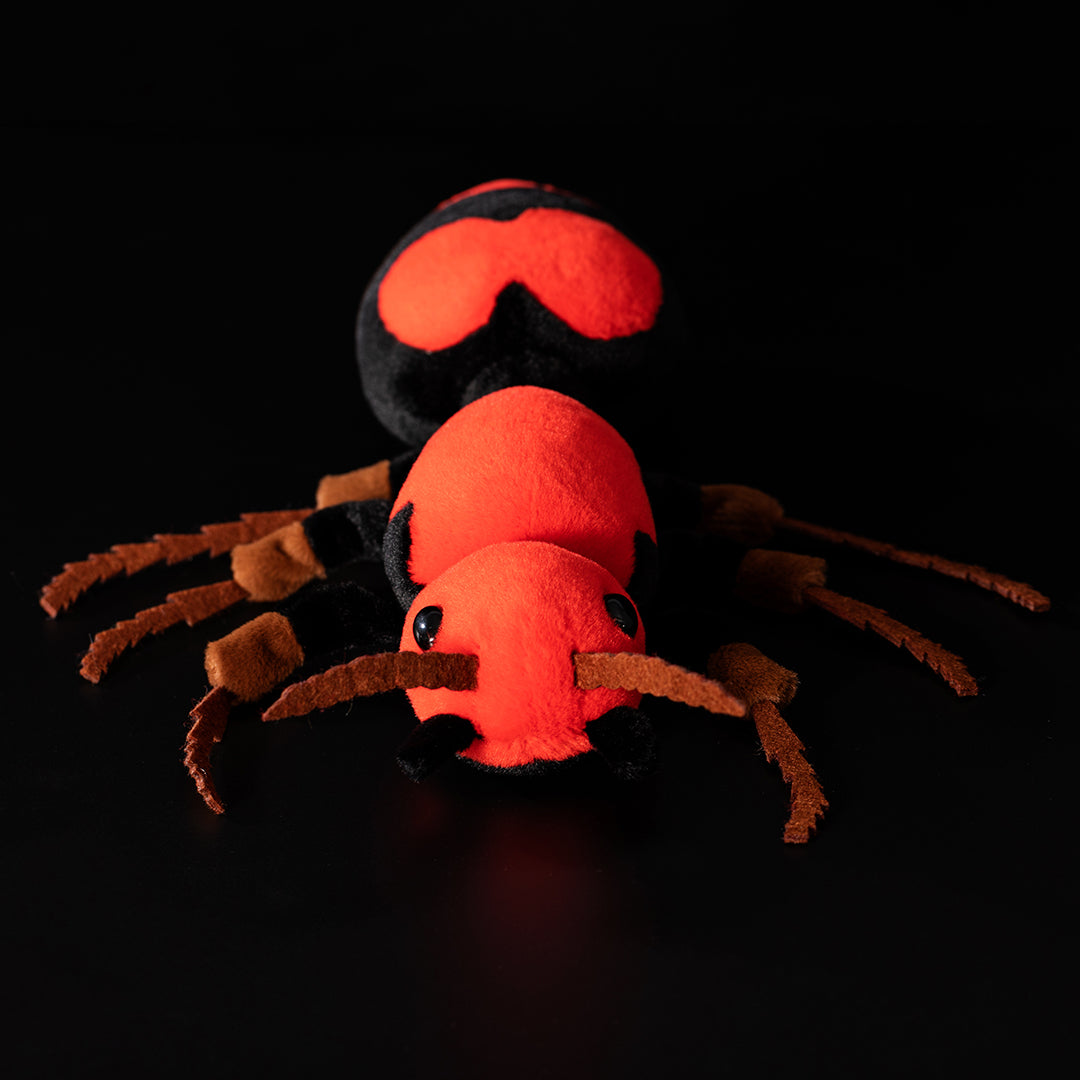Red Velvet Ant Stuffed Plush Toy
