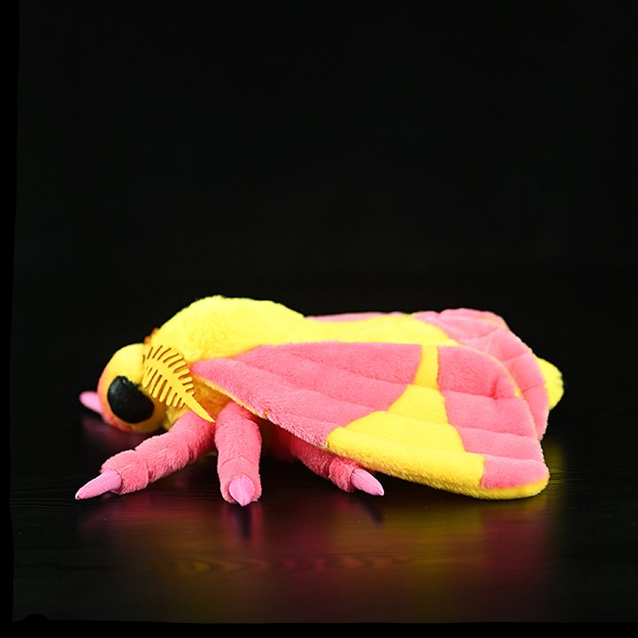 Peluche morbido Rosy Maple Moth 