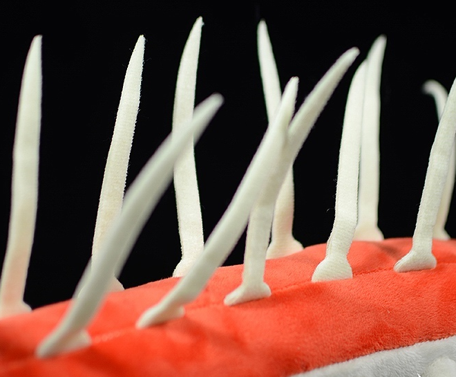 Peluche morbido di Hallucigenia Cambrian Animal 