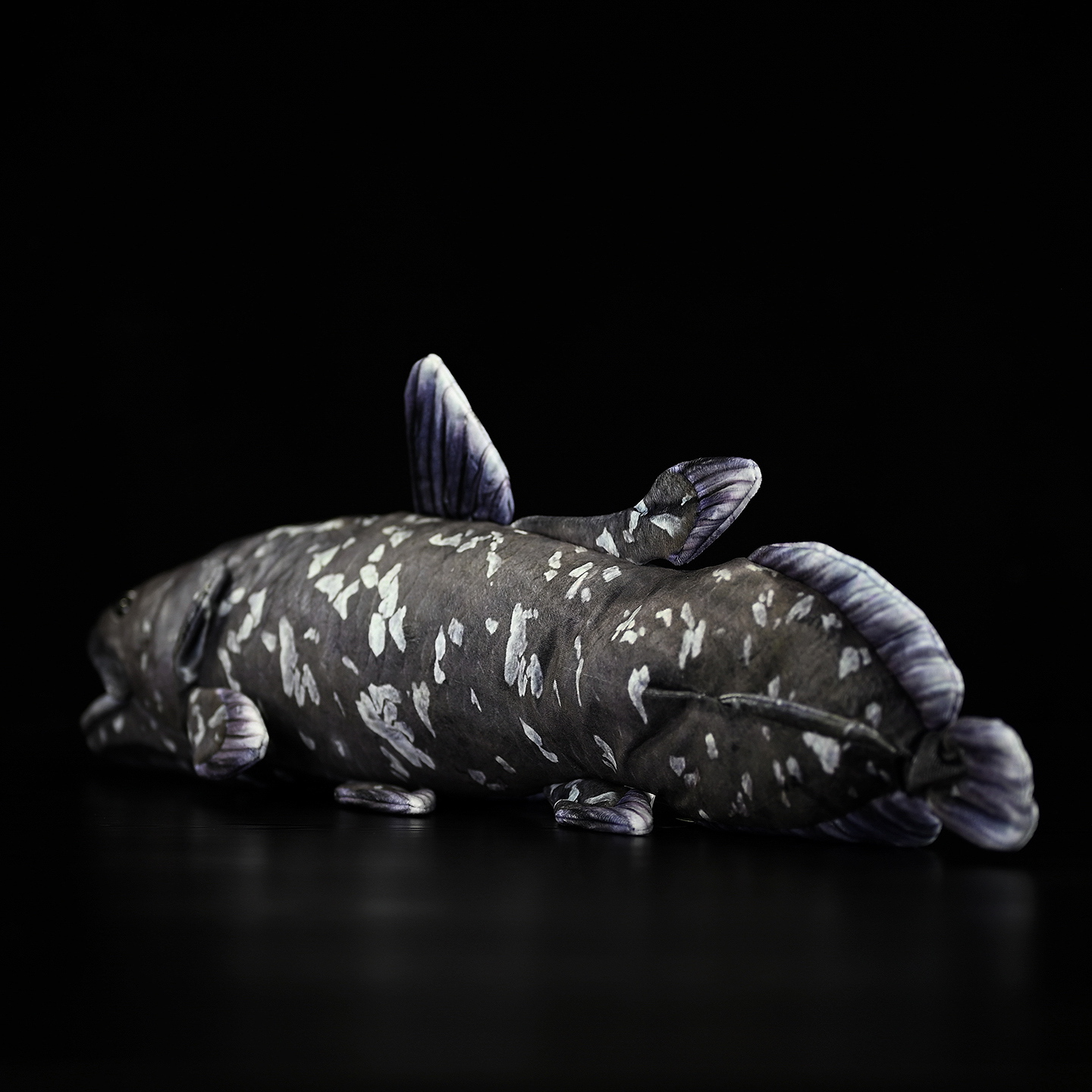 Coelacanth Fish Soft Stuffed Plush Toy