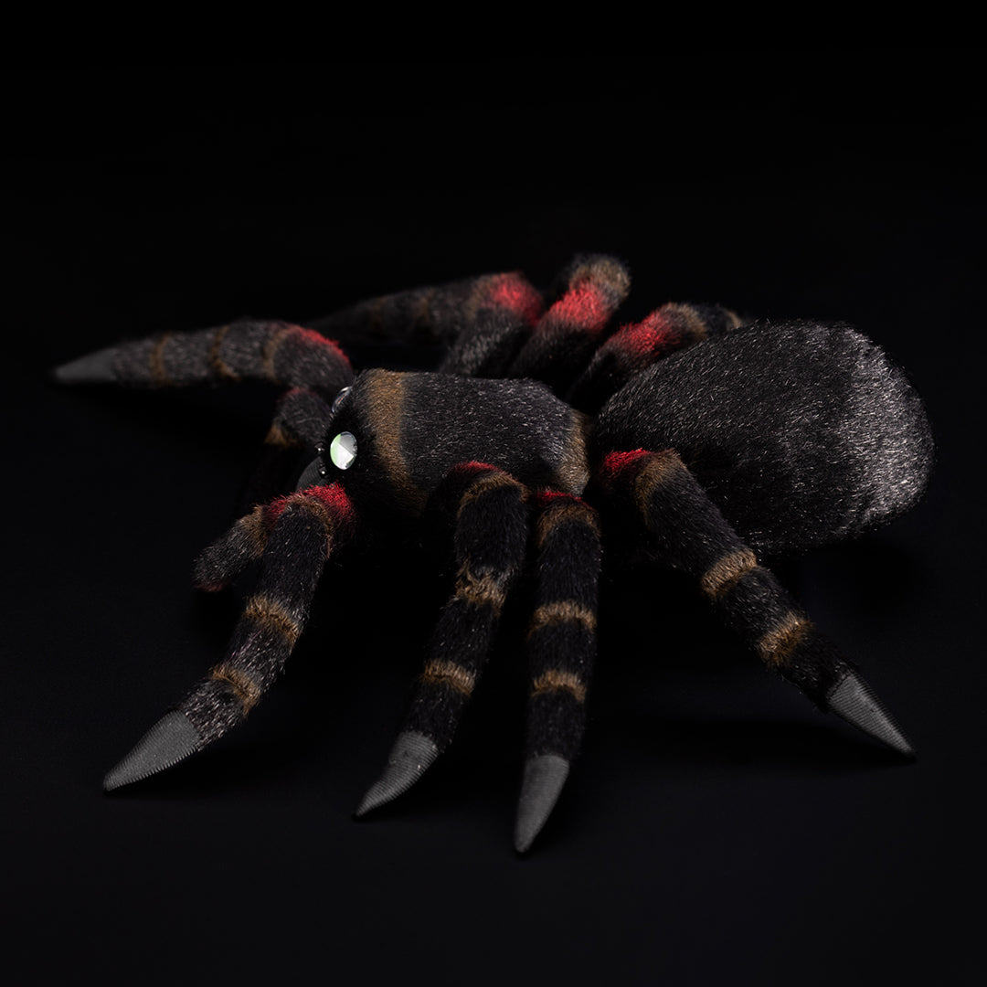 Tarantula Spider Soft Stuffed Plush Toy