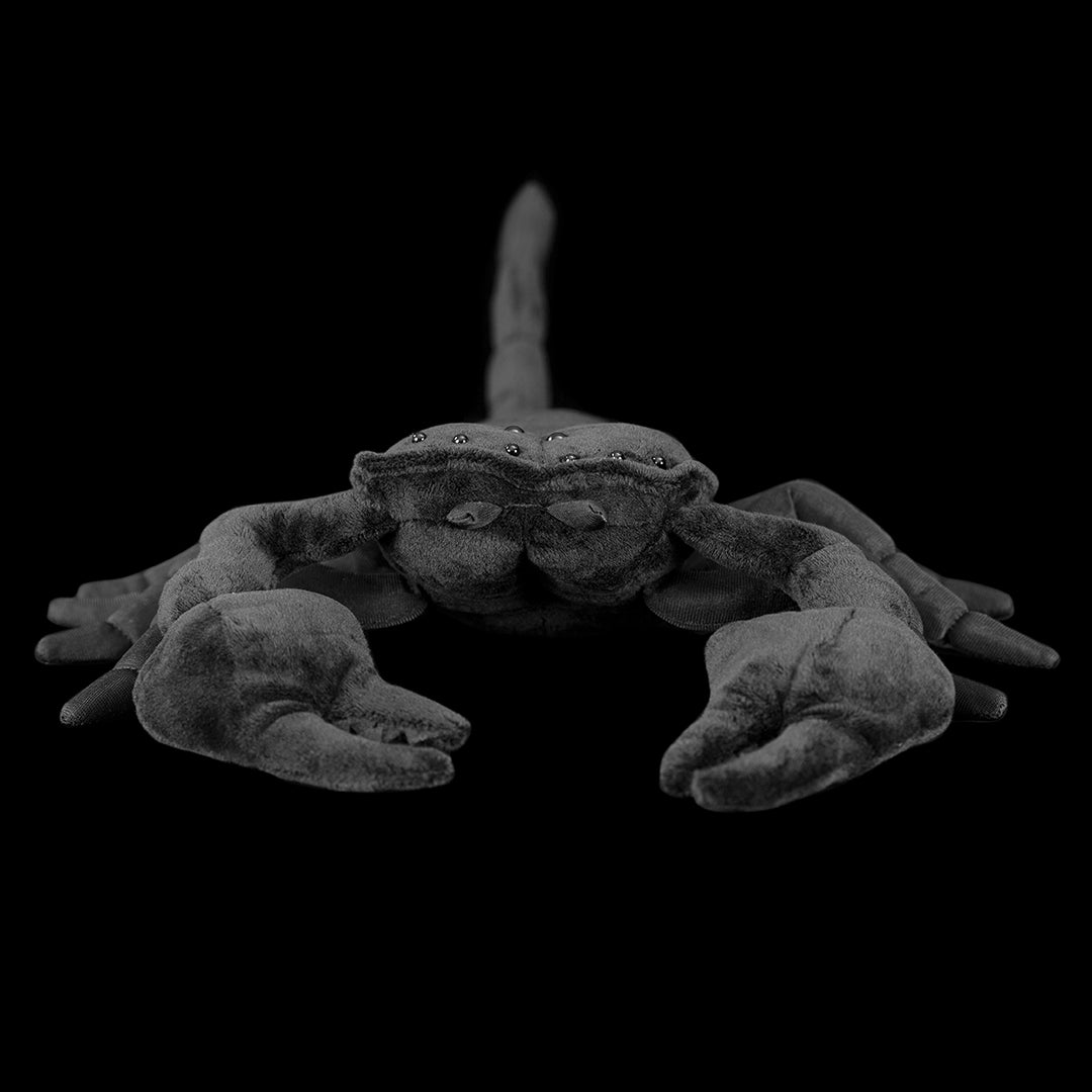 Emperor Scorpion Soft Stuffed Plush Toy