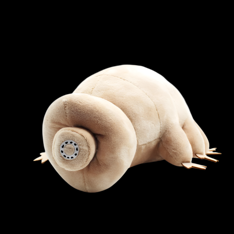 Tardigrade Water Bear Soft Stuffed Plush Toy