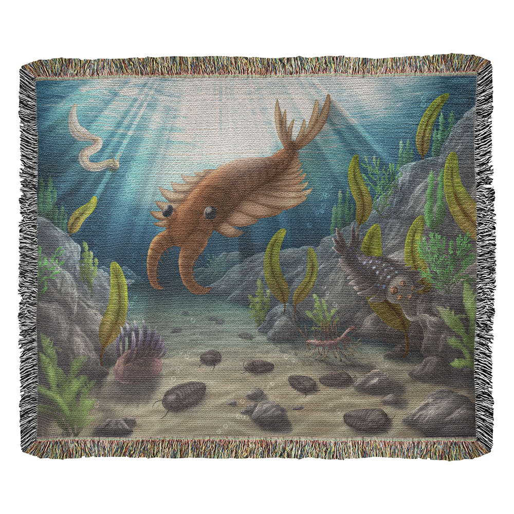 Coperta di raccolta delle pozze di marea dei mari cambriani