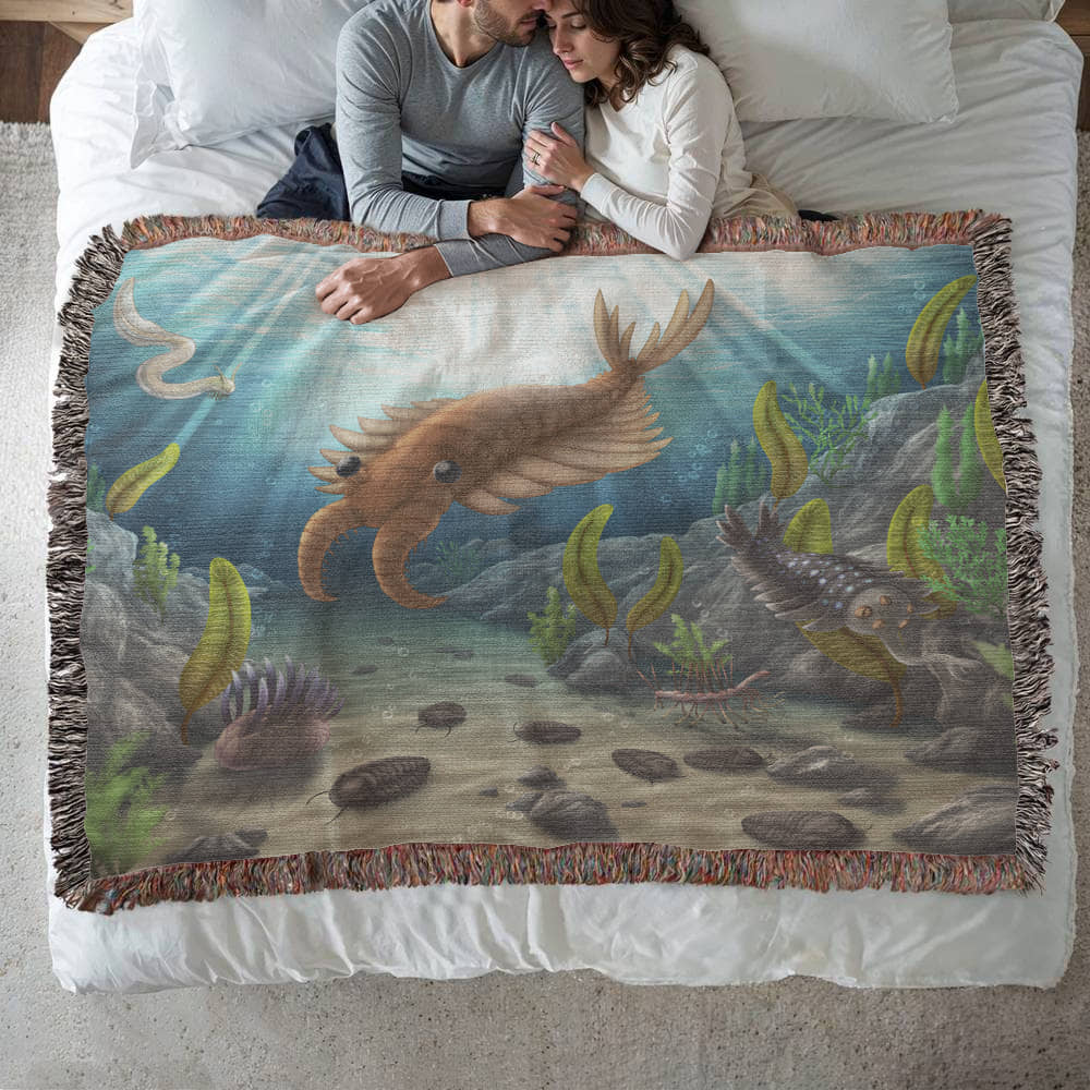 Coperta di raccolta delle pozze di marea dei mari cambriani