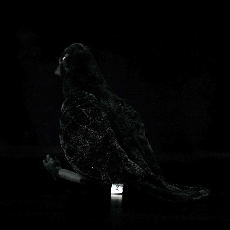 American Crow Bird Soft Stuffed Plush Toy