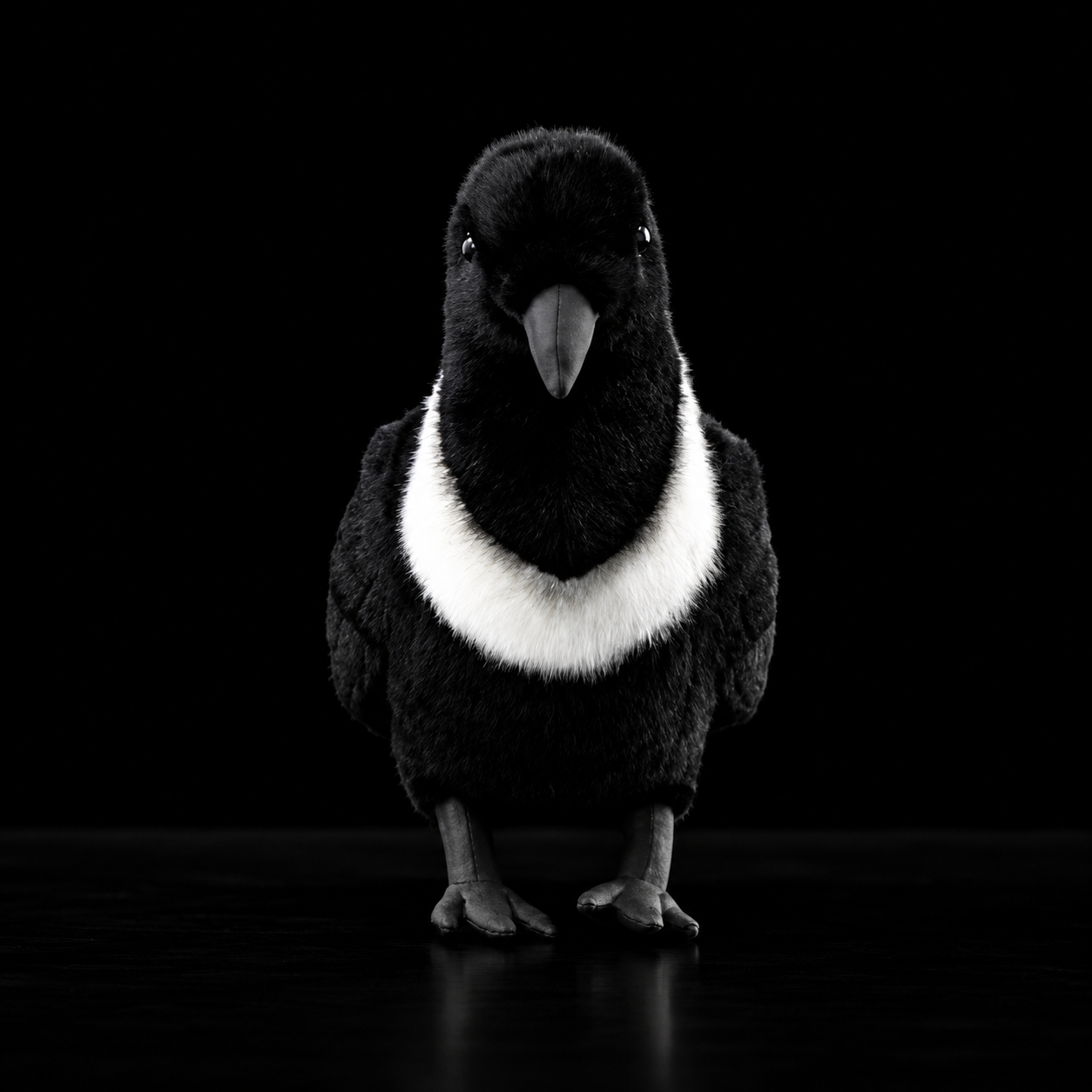 Collared Crow Soft Stuffed Plush Toy