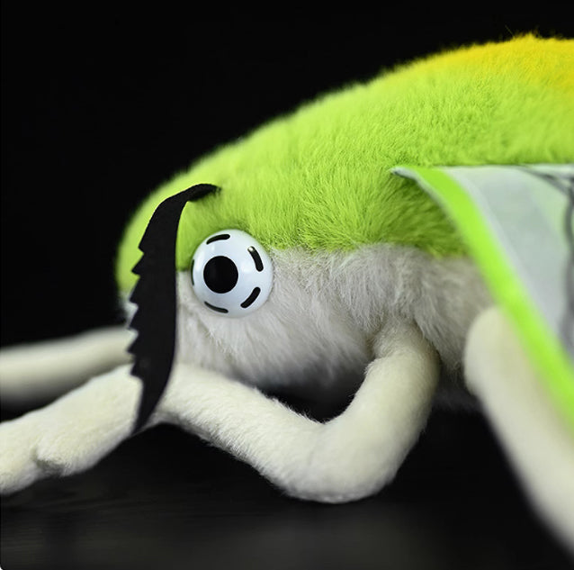 Pellucid Hawkmoth Soft Stuffed Plush Toy