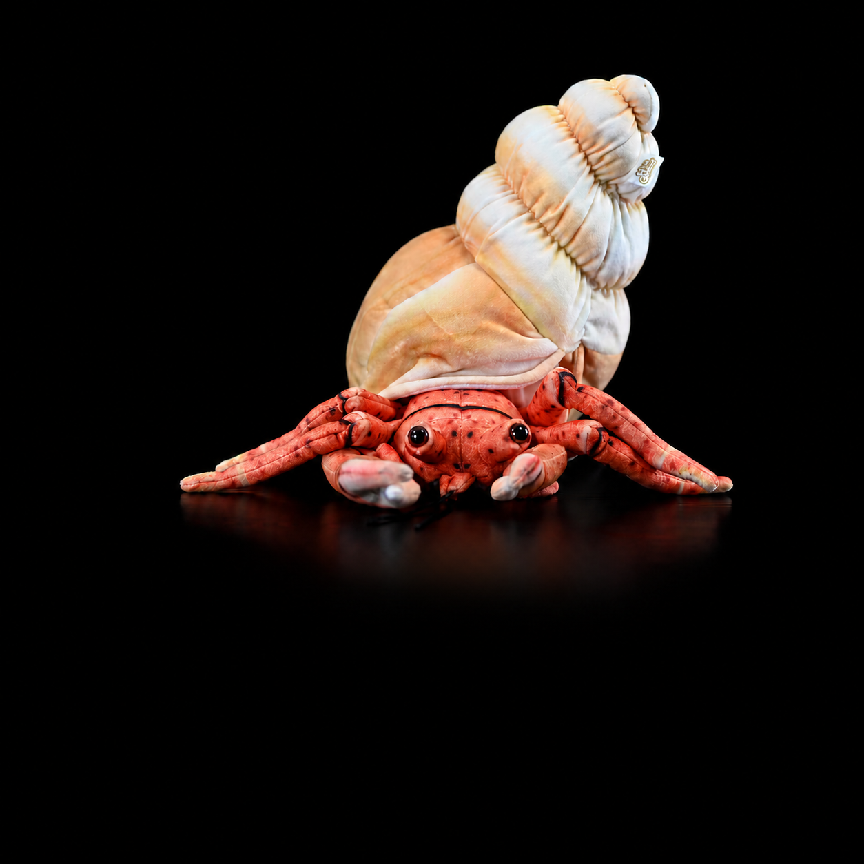 Hermit Crab Soft Stuffed Plush Toy