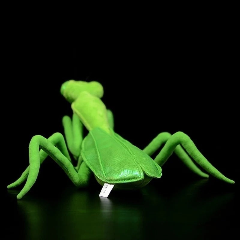 Jucărie de pluș moale de mantis chinezesc verde