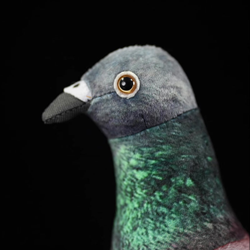 Peluche morbido a forma di piccione comune