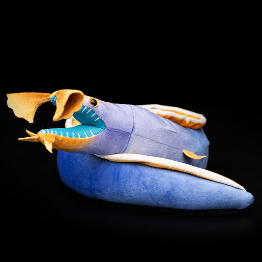 Ribbon Eel Soft Stuffed Plush Toy