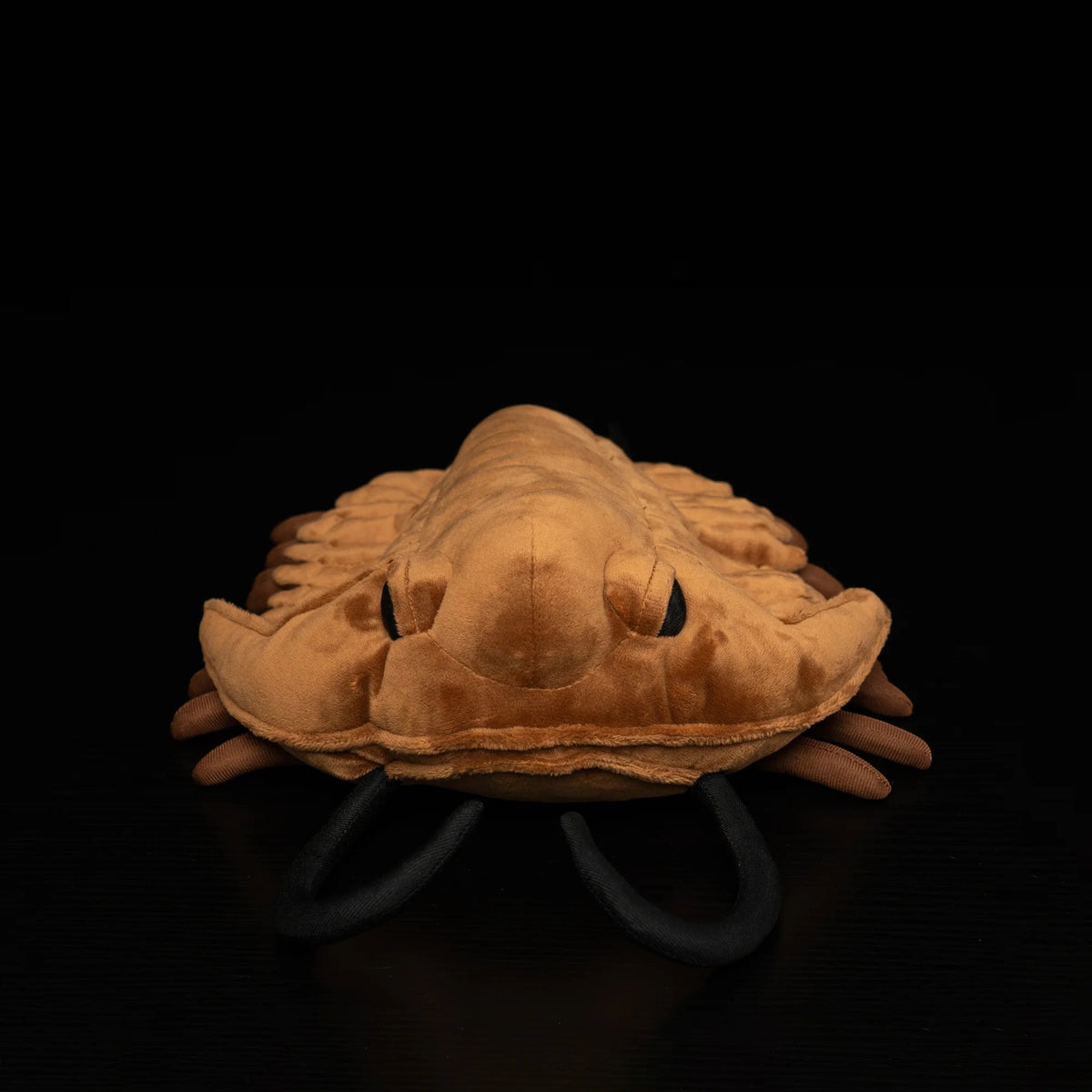 Brinquedo de pelúcia macio de pelúcia axolotl rosa