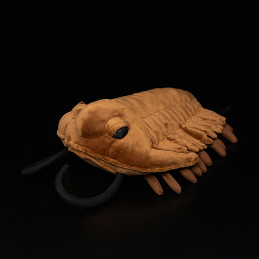 Trilobite Arthropod Soft Stuffed Plush Toy