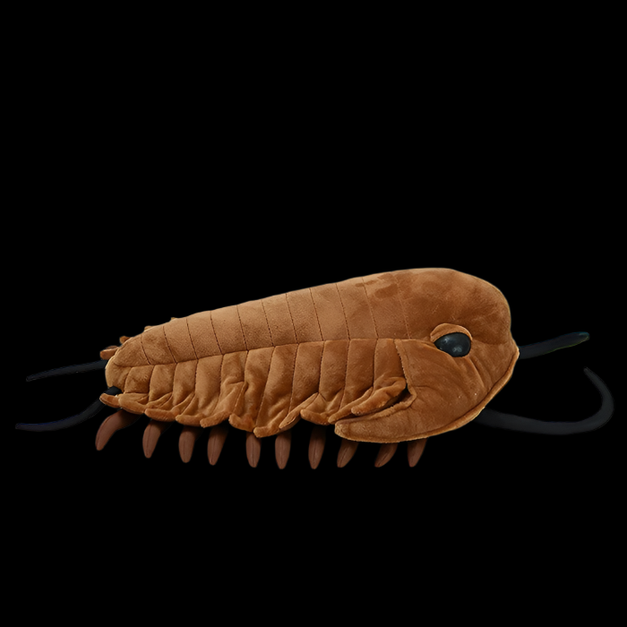 Peluche morbido di artropode trilobite