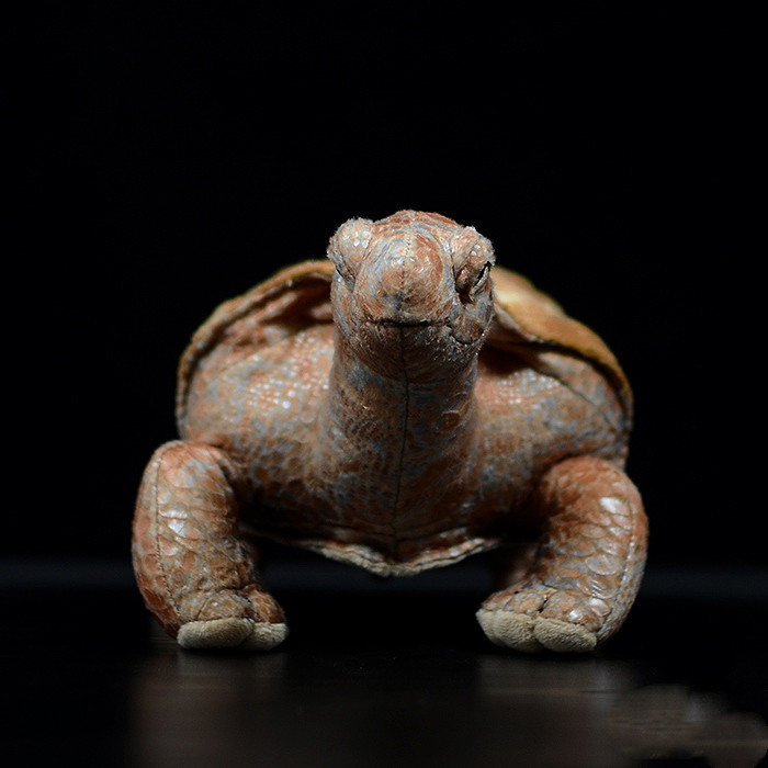 Peluche morbido a forma di tartaruga delle Galapagos